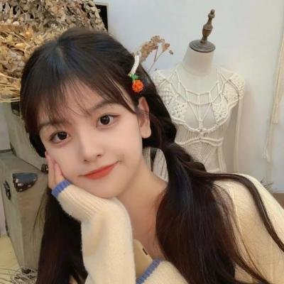 笨蛋·测验·召唤兽：祭