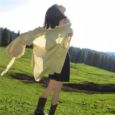 少年讼师纪晓岚